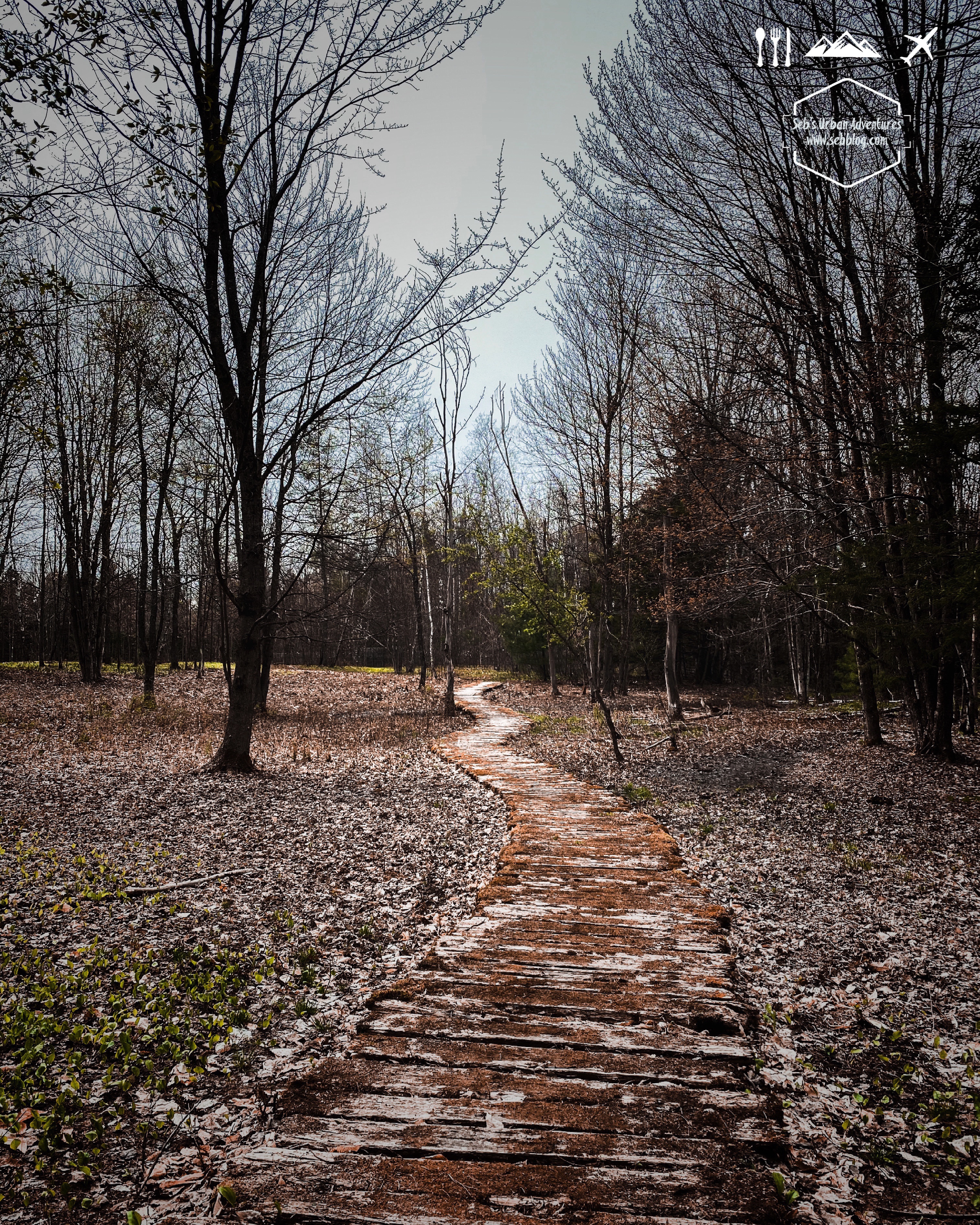 Hiking: Village Mountain Trail