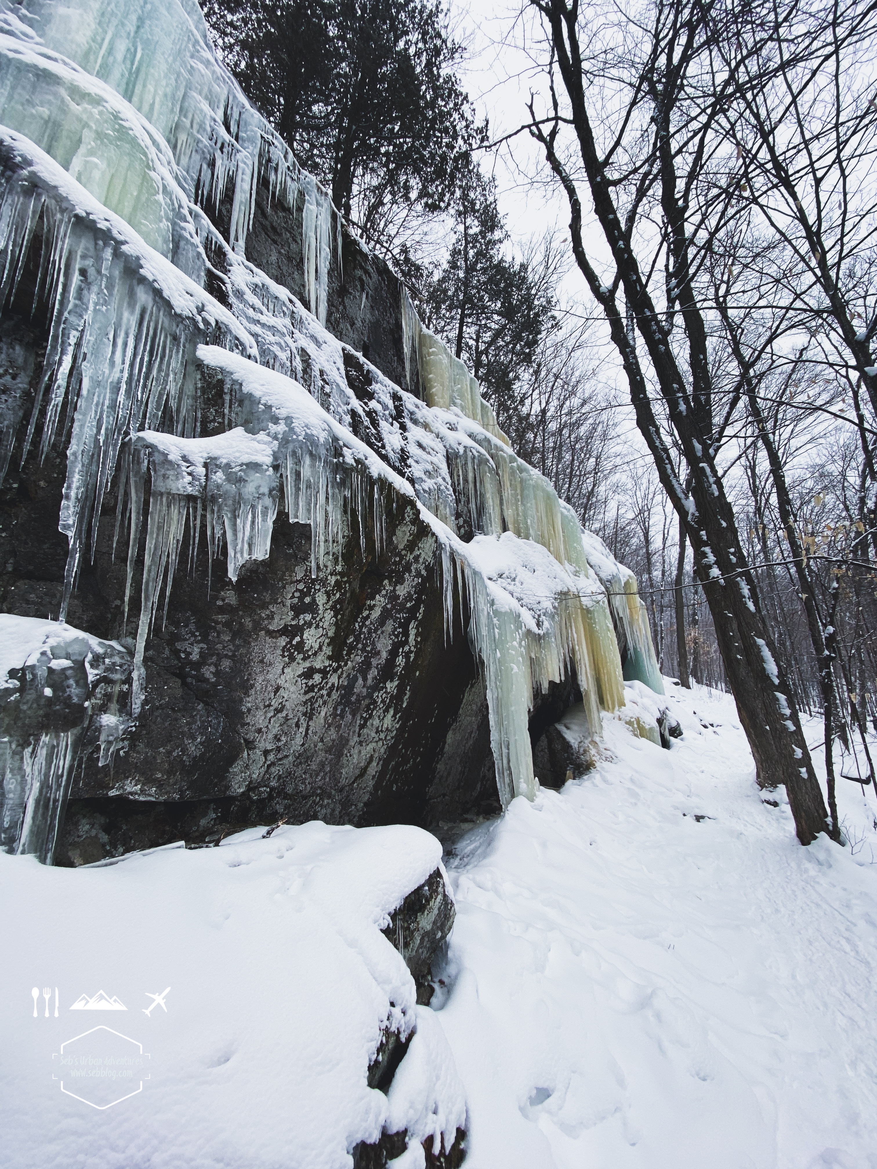 Snowshoeing: Goose, Hare and West Trail Loop