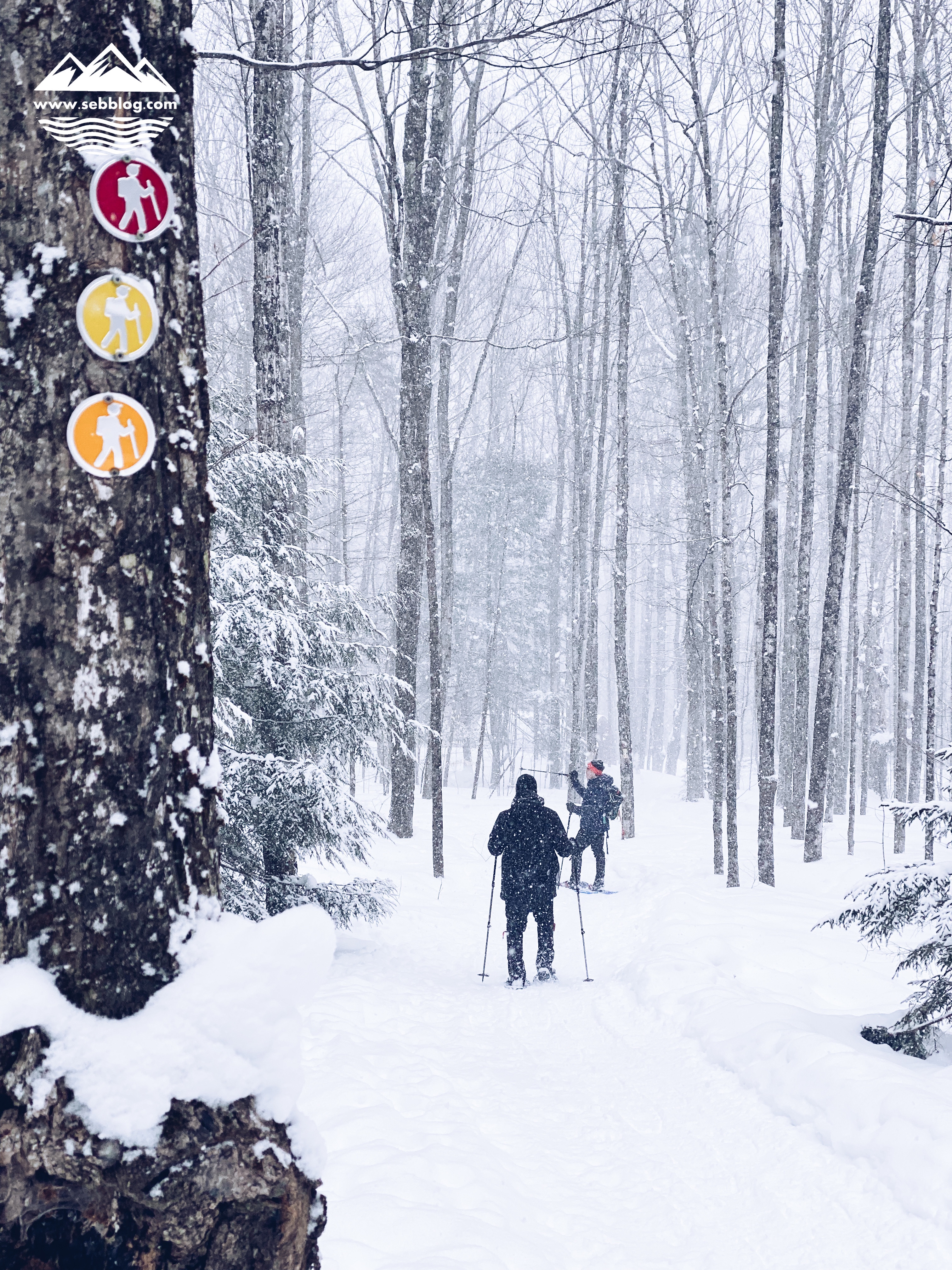 Snowshoeing: Au Diable Vert Yellow Trail