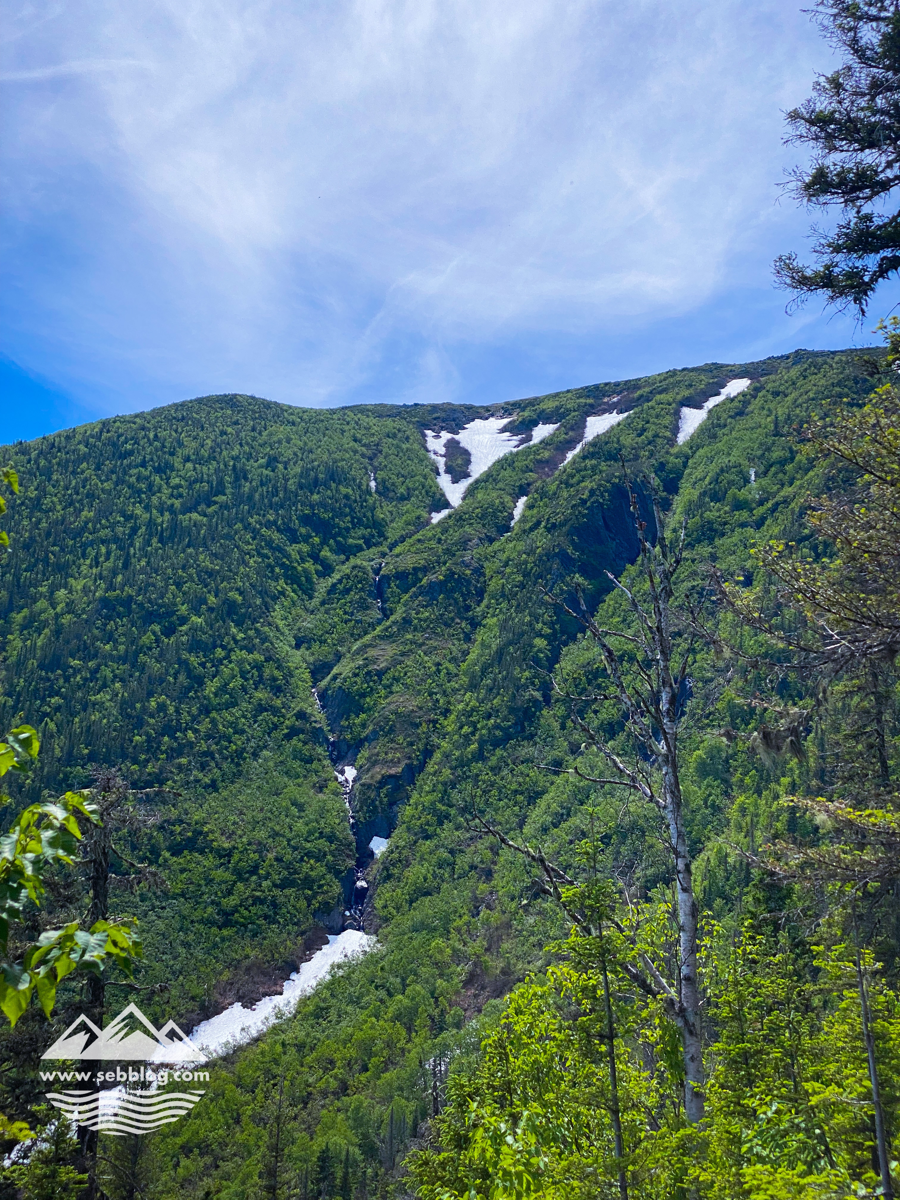 Hiking: Mont Albert (northern slope)